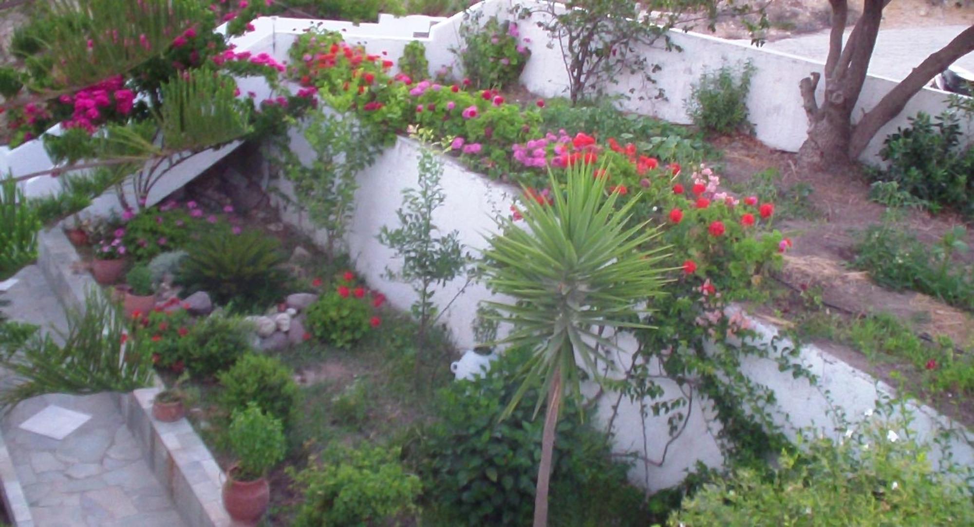 Creta Vassakis Studios Kéfalos Buitenkant foto