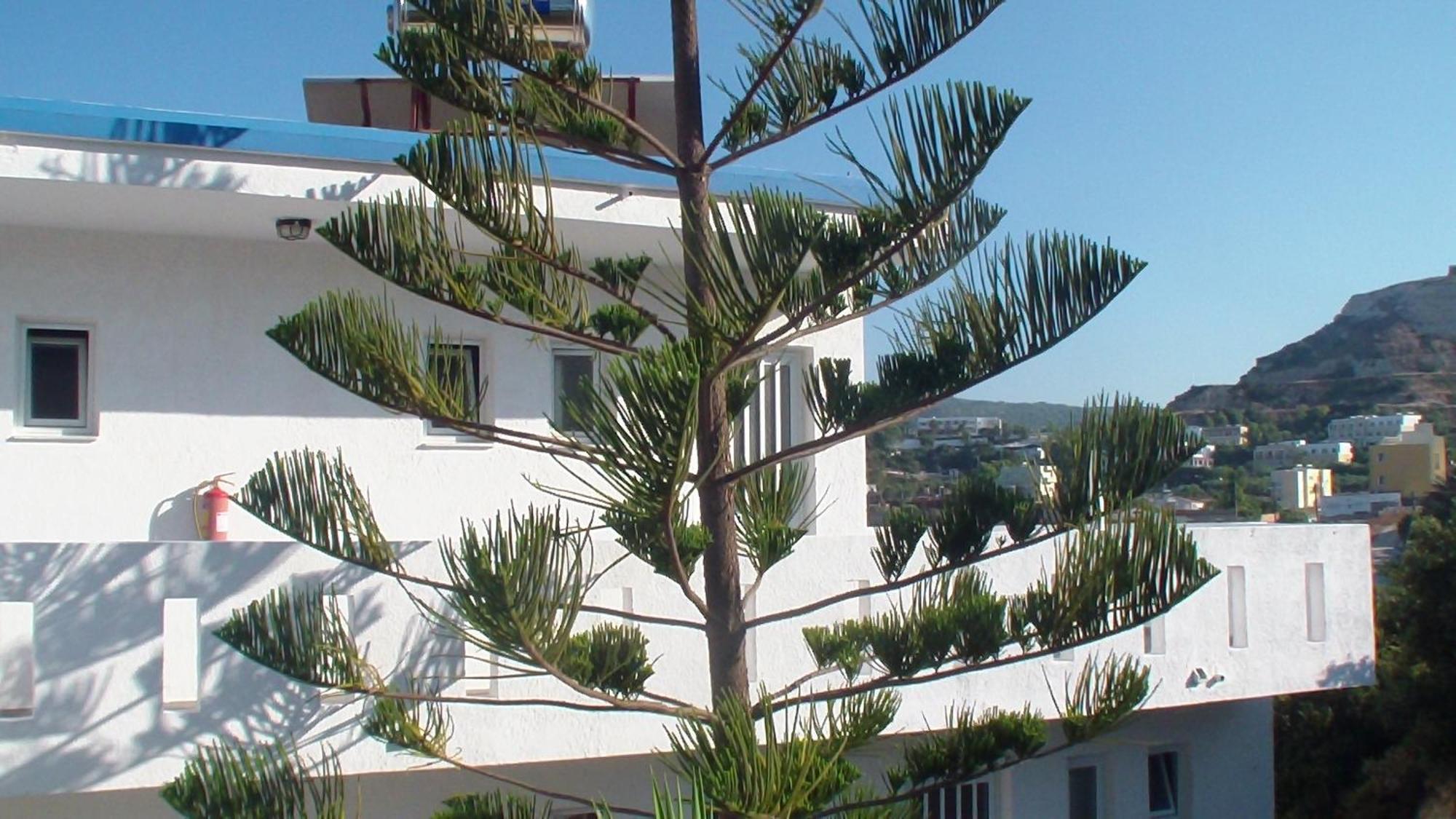 Creta Vassakis Studios Kéfalos Buitenkant foto