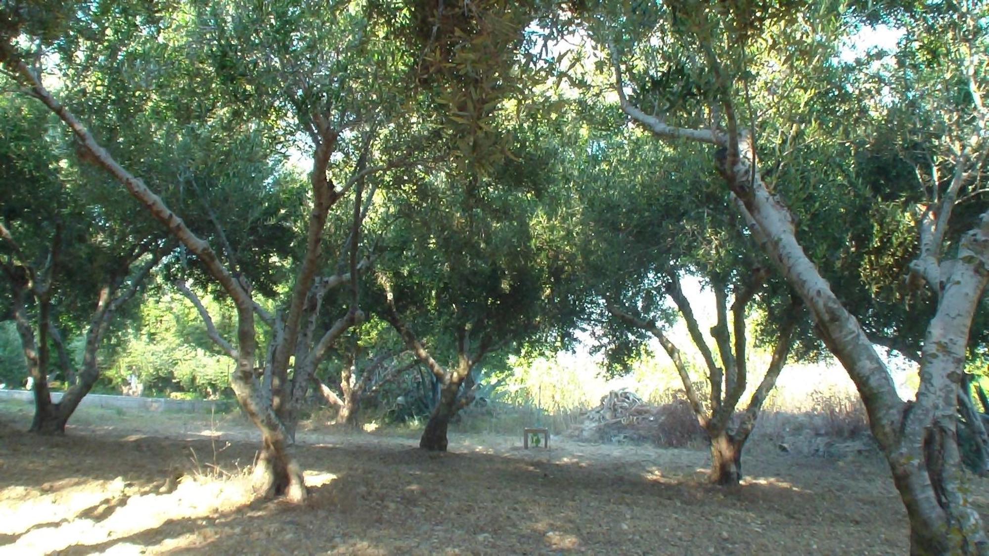 Creta Vassakis Studios Kéfalos Buitenkant foto
